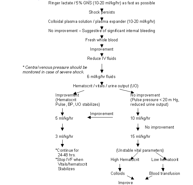 Pathophysiology Of Dengue Fever : Dengue Illness In Children Rose W
