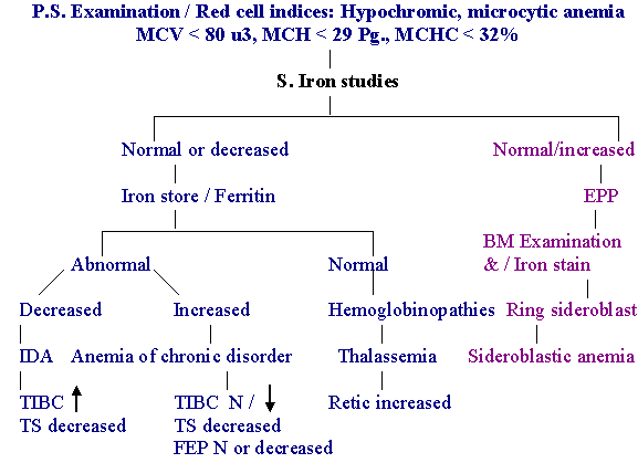 Classification Of Anemia Chart