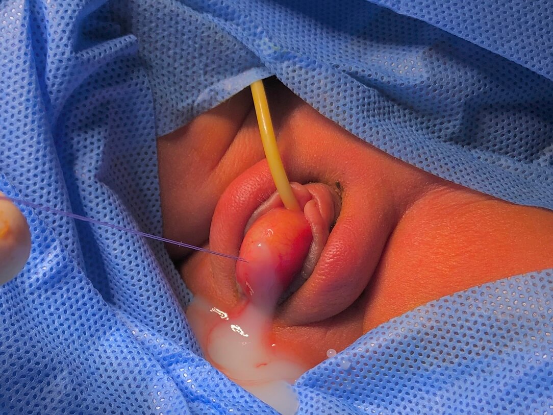 Spot Diagnosis