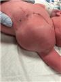Spot Diagnosis