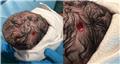 Spot Diagnosis