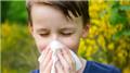 Allergic Rhinitis