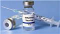 Influenza Vaccine