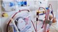 Kidney Dialysis