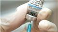 Rubella Vaccine