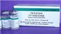 Tetanus Toxoid