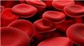 Thalassemia Management