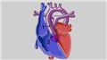 Truncus Arteriosus