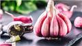 Nutrition for Growth & Immunity