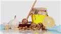 Nutrition for Growth & Immunity
