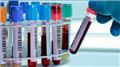 Blood Biochemistry