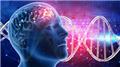 Brain Malformations