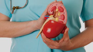 Acute Renal Failure - Blood Picture