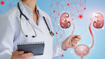 Urinary And Genital Problems