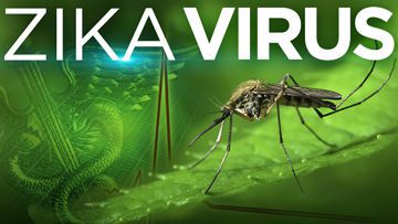 Zika Virus: an Emerging Global Pandemic