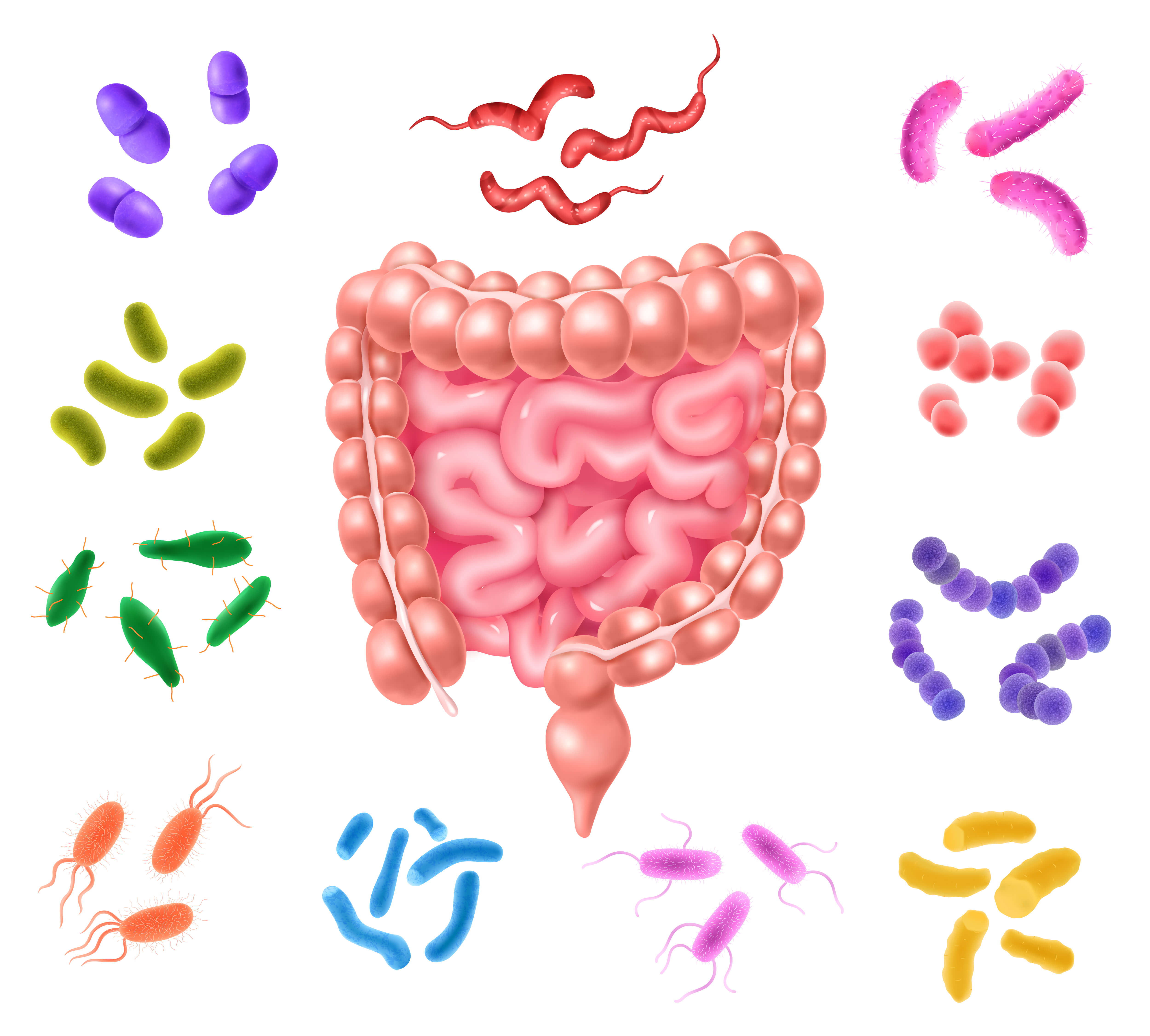 Tiny toxin, Big Consequences!