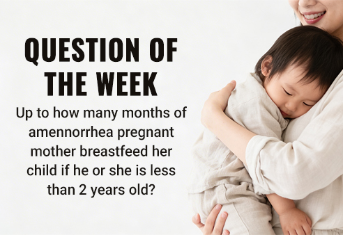 Up to how many months of amennorrhea pregnant mother breastfeed her child if he or she is less than  2 years old?