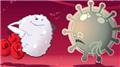 Probiotics FAQs